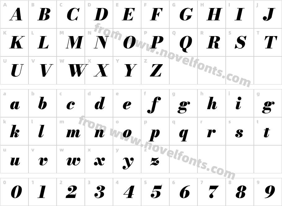 Bodoni Moda 9pt Black ItalicCharacter Map