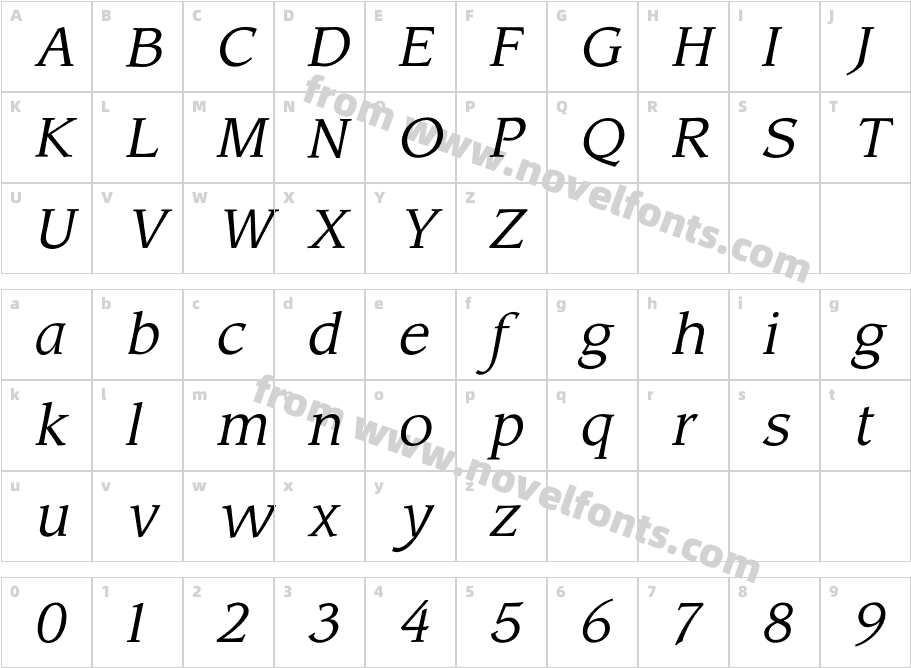 LeawoodBookItalicCharacter Map