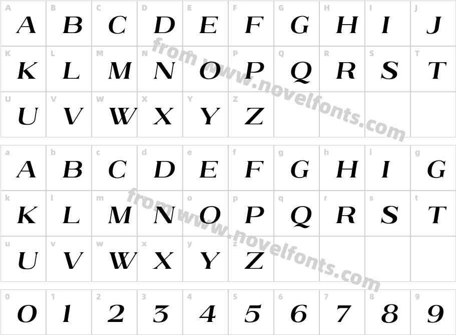Brushine Collective ObliqueCharacter Map