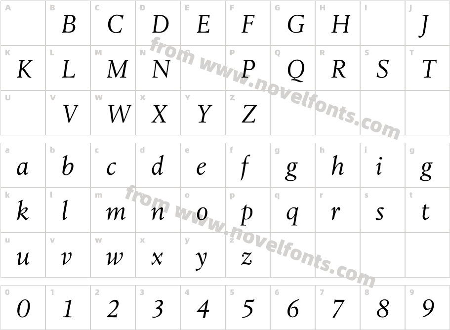 LeightonLightItalicCharacter Map