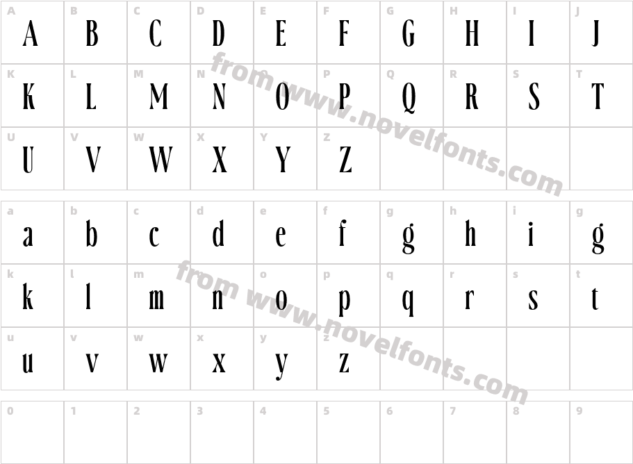 CS Damon Demo RegularCharacter Map