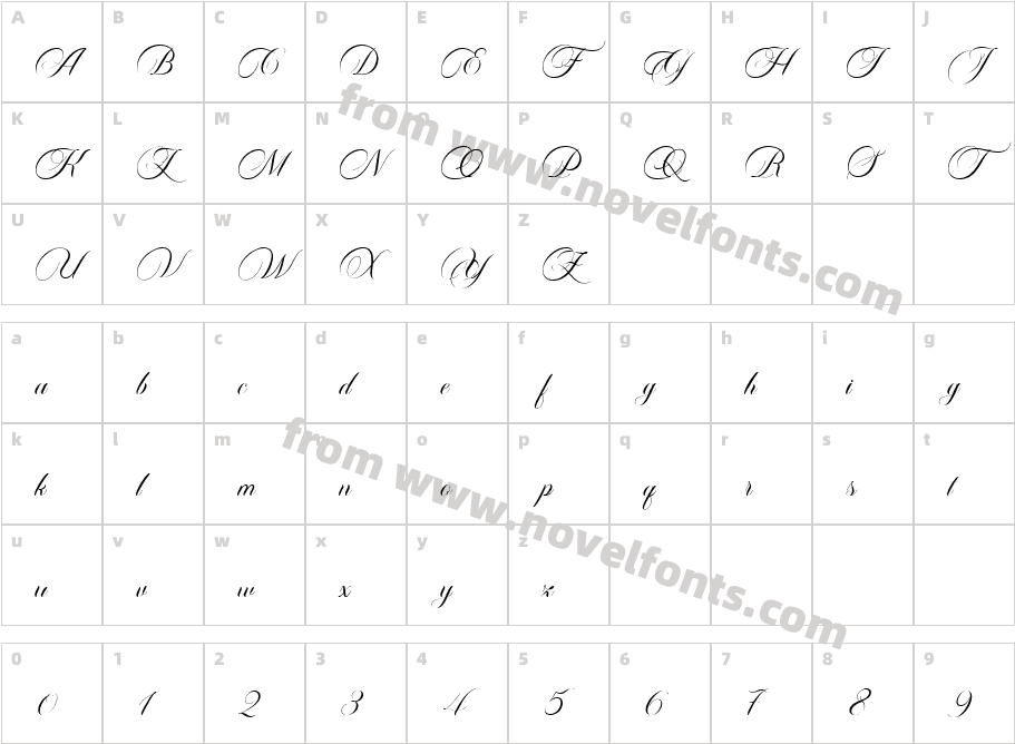 Carista Calligraphy RegularCharacter Map