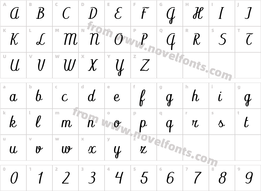 Libellule RegularCharacter Map