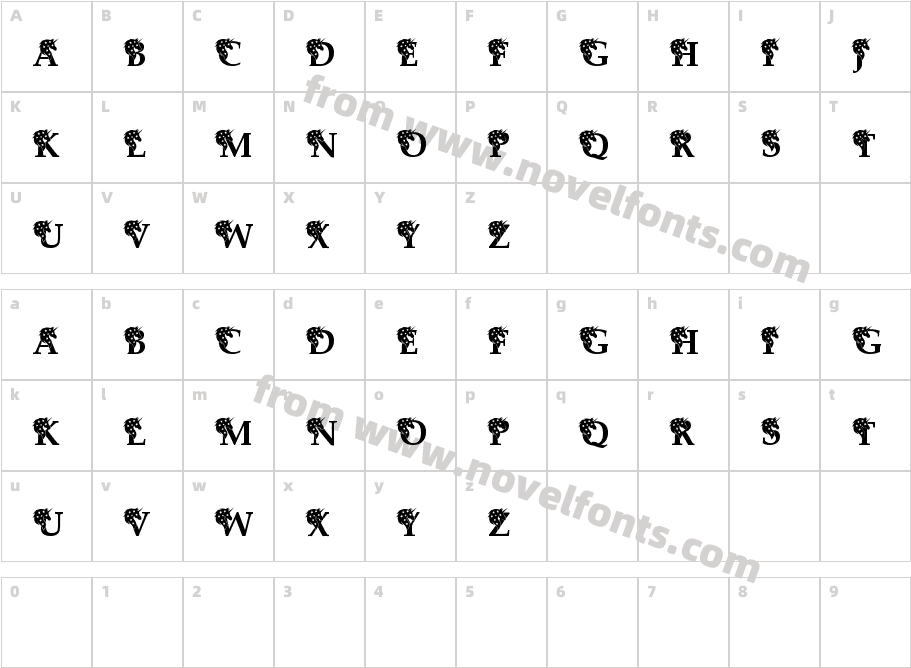 Charlotte MonogramCharacter Map