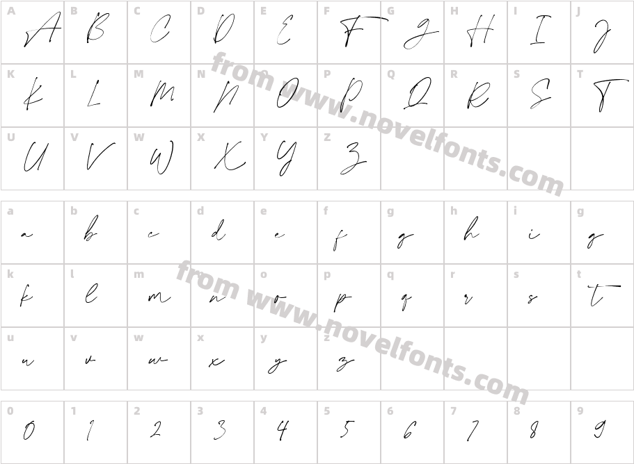 Collection Free RegularCharacter Map