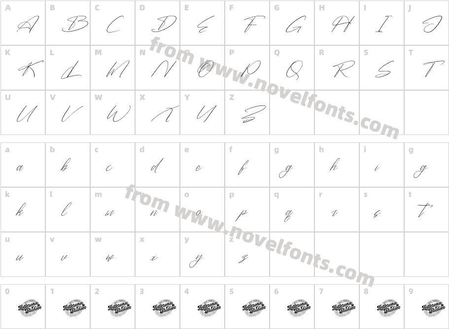 Danymeka DEMO VERSION ItalicCharacter Map