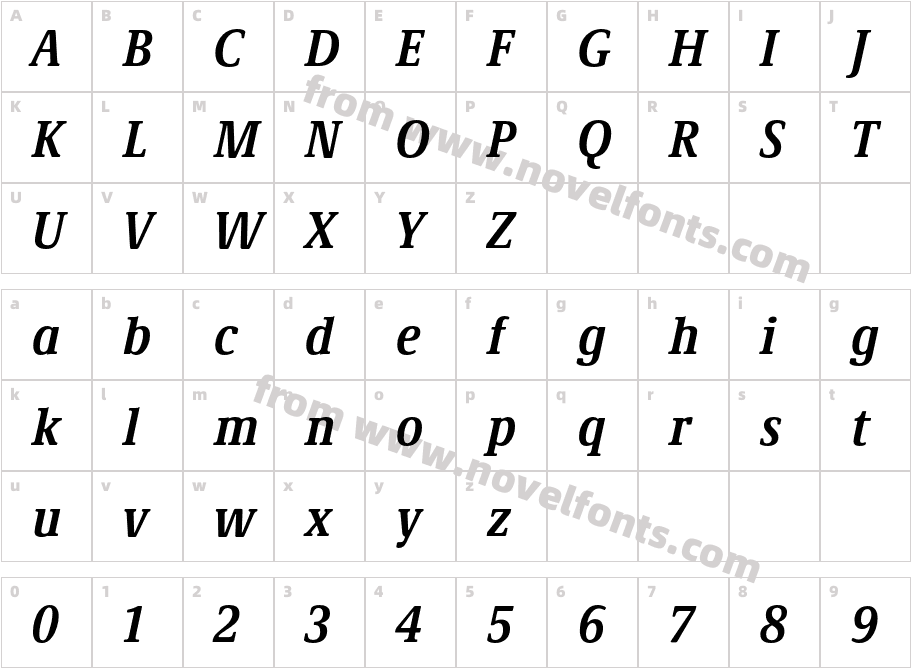 Demos Next Pro Cn Bold ItalicCharacter Map
