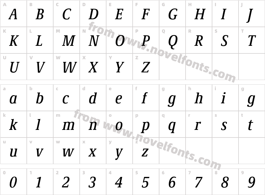 Demos Next Pro Cn Medium ItalicCharacter Map