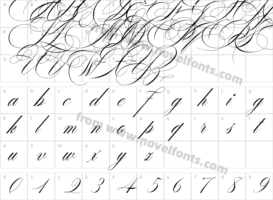 Desirable Brust TextureCharacter Map