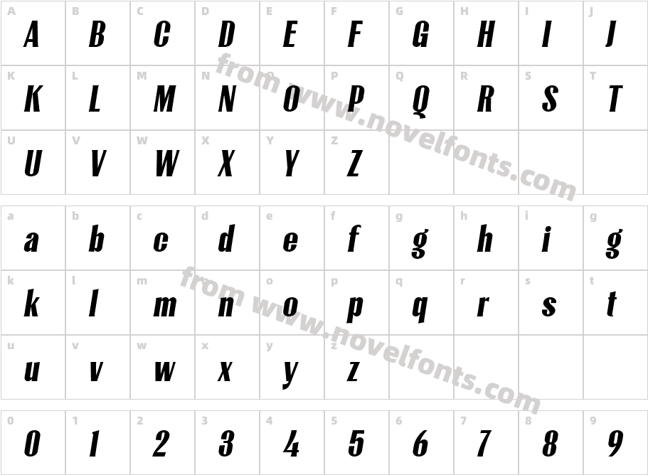 LioneyDEMO ObliqueCharacter Map