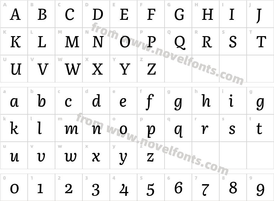 Literata Book Medium ItalicCharacter Map