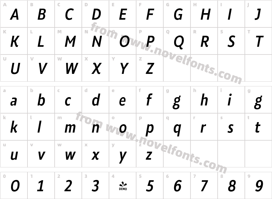 FSP DEMO Roanne Cond Medium Italic RegularCharacter Map
