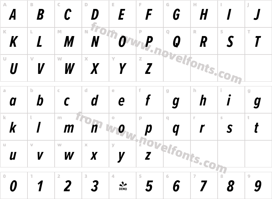 FSP DEMO Proxima Nova Ex Cn Bold ItalicCharacter Map
