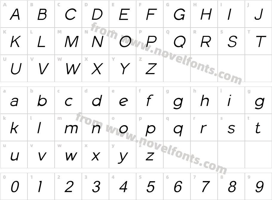Fieldstones Thin ItalicCharacter Map