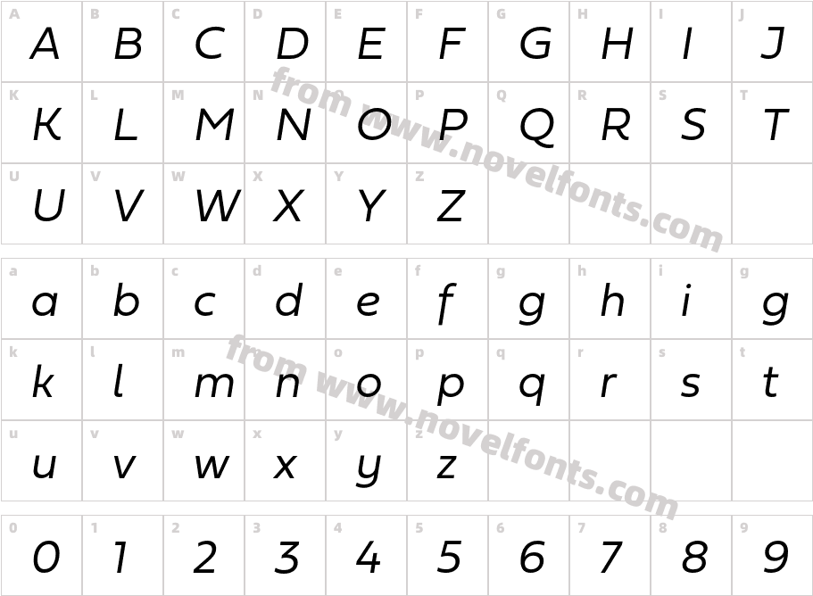 Fieldwork Italic LightCharacter Map