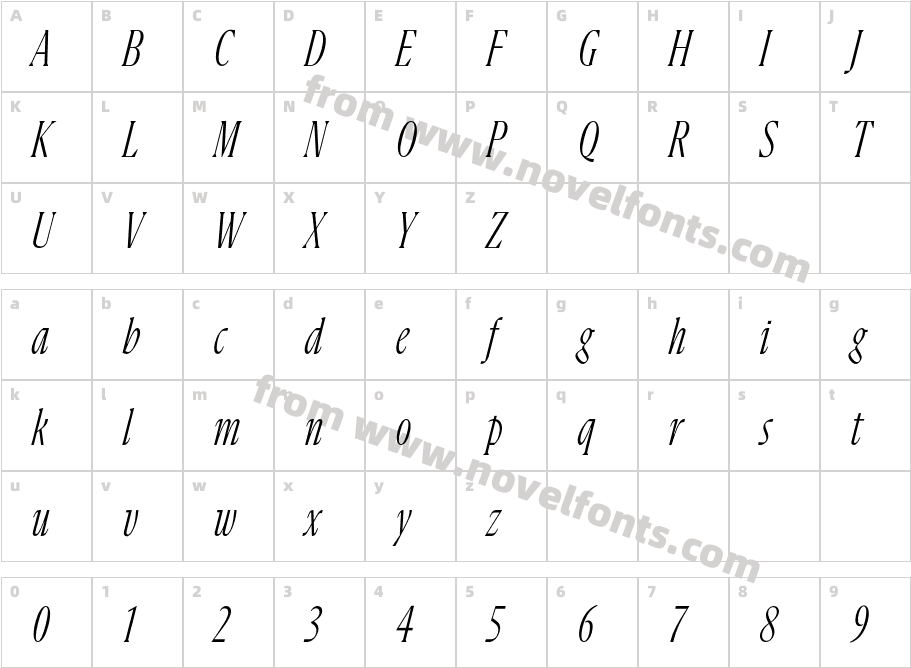 Flecha Bronzea Test M Light ItalicCharacter Map