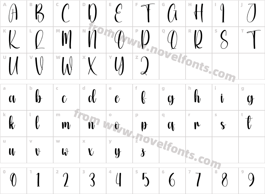 Glossy RegularCharacter Map