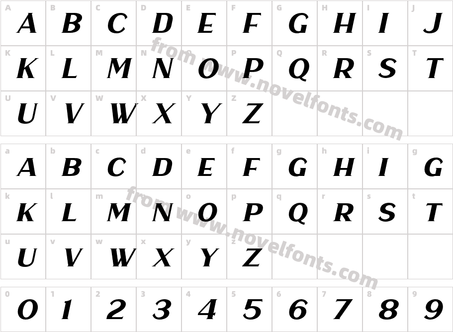 Haarlem Serif ItalicCharacter Map