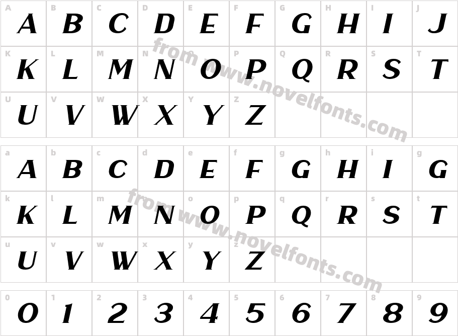 Haarlem Serif ItalicCharacter Map