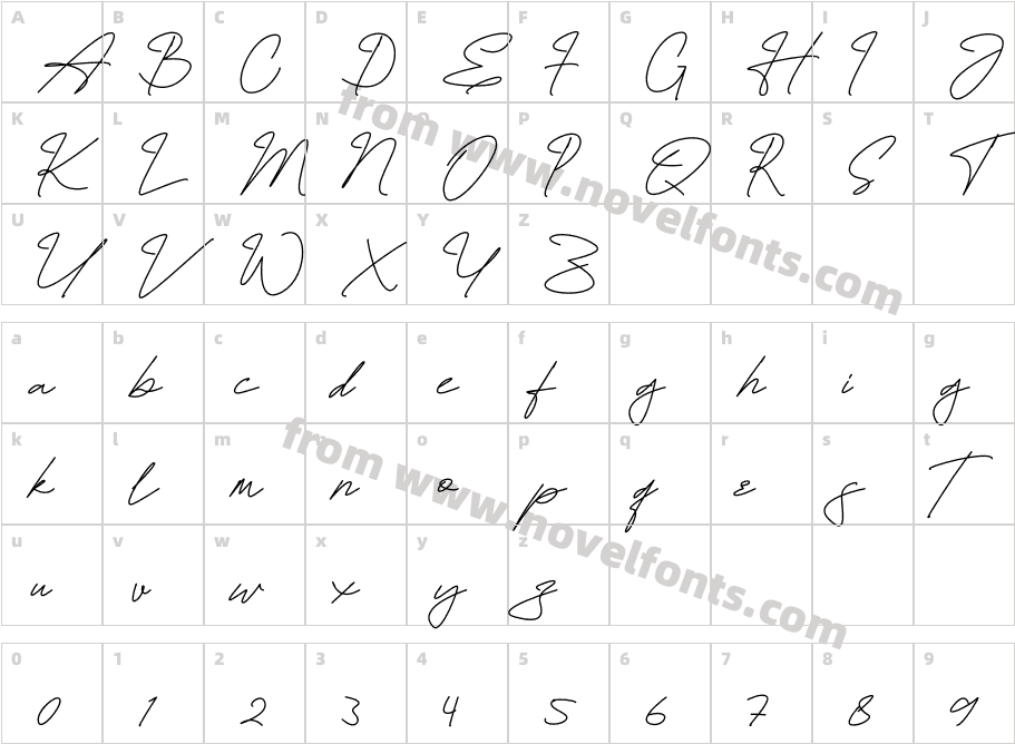 Hamiltton Signature RegularCharacter Map