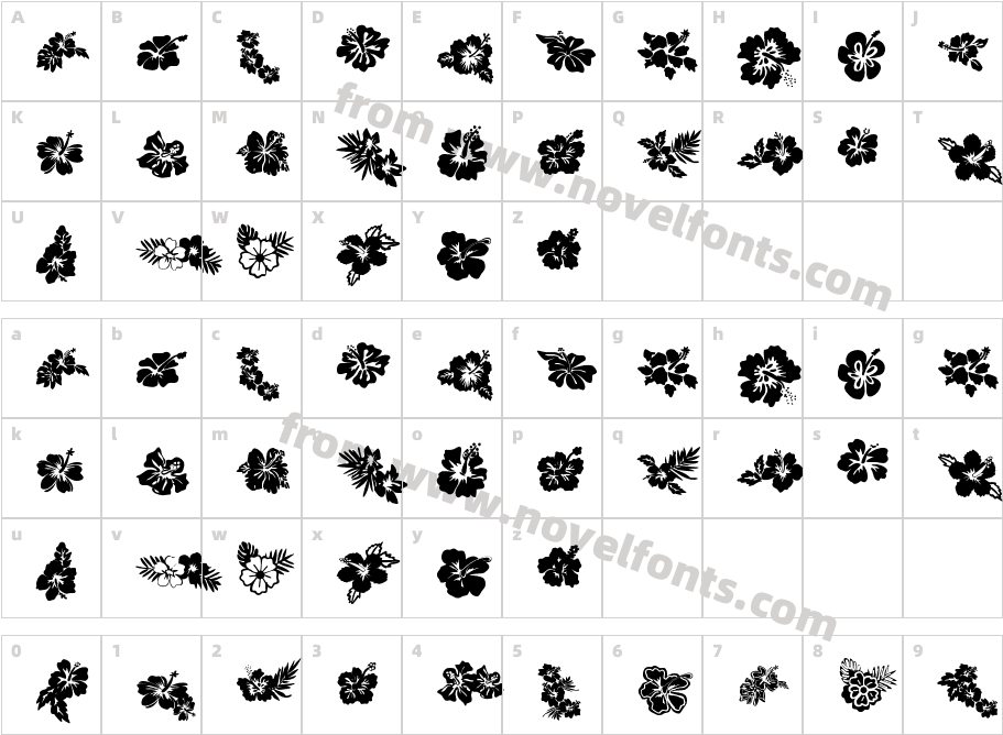 Hibiscus Flower RegularCharacter Map