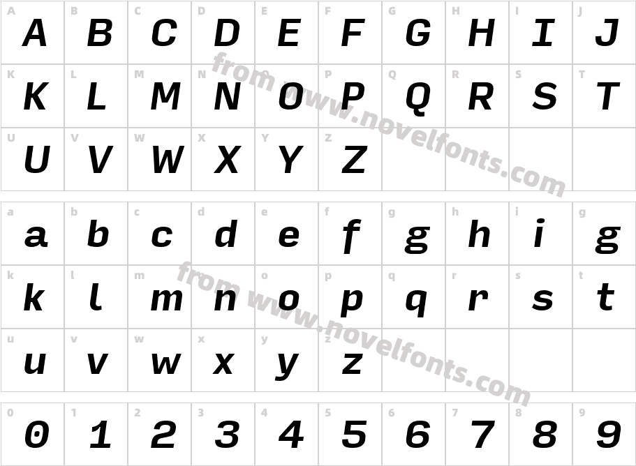 Input Sans Bold ItalicCharacter Map