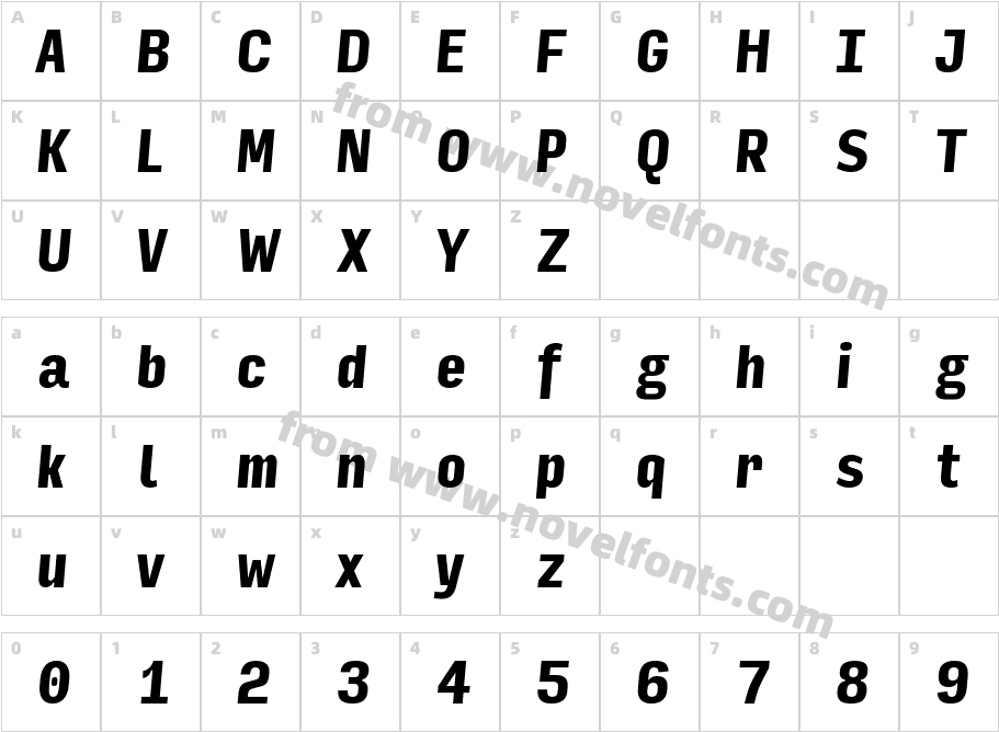 Input Sans Compressed Black ItalicCharacter Map