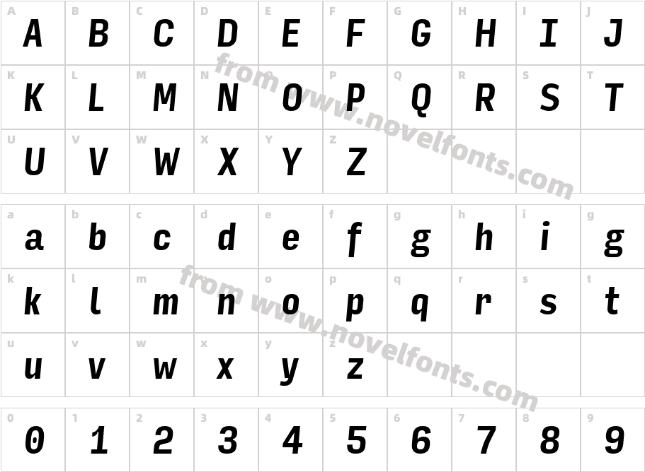 Input Sans Compressed Bold ItalicCharacter Map