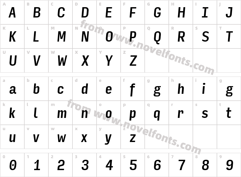 Input Sans Compressed Medium ItalicCharacter Map