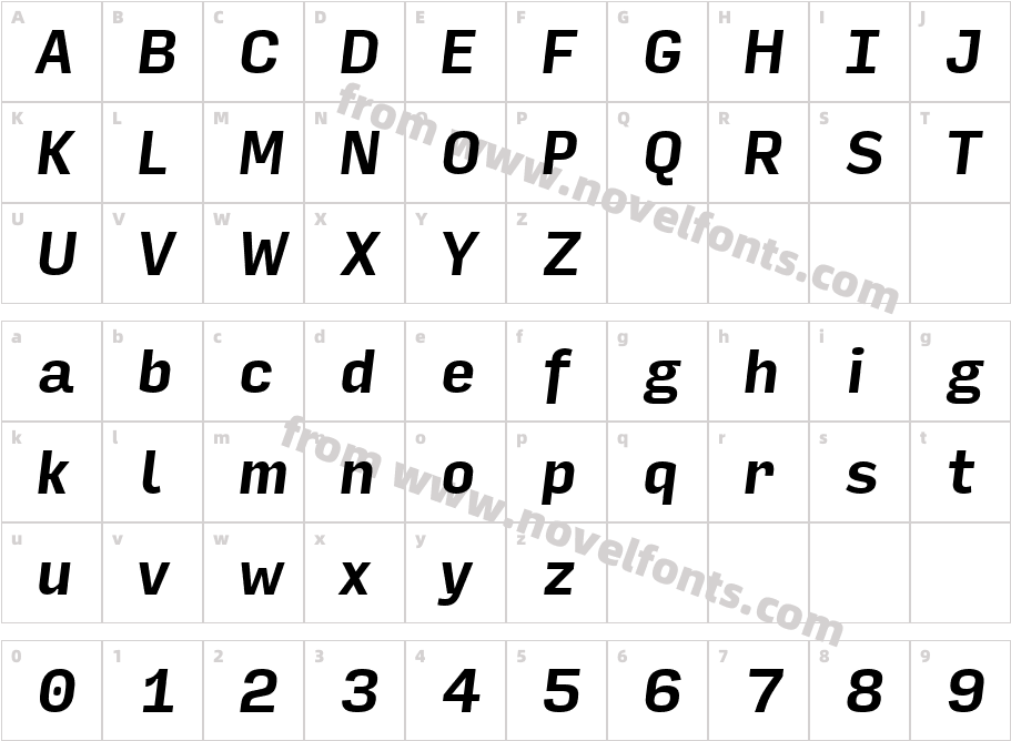 Input Sans Narrow Bold ItalicCharacter Map