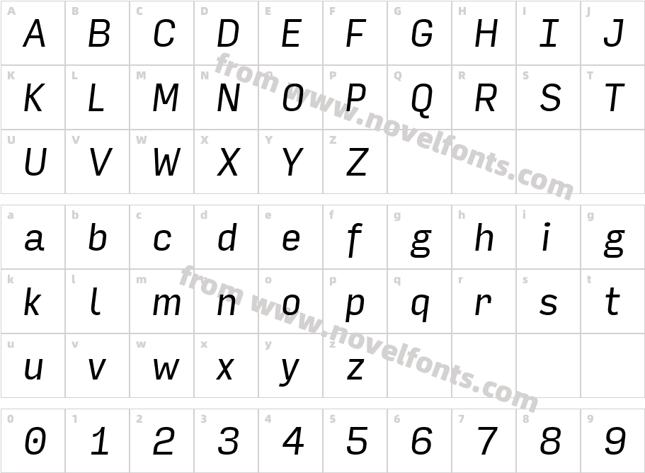Input Sans Narrow ItalicCharacter Map