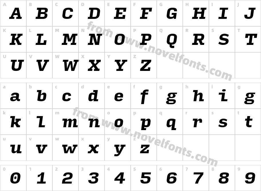 Input Serif Black ItalicCharacter Map