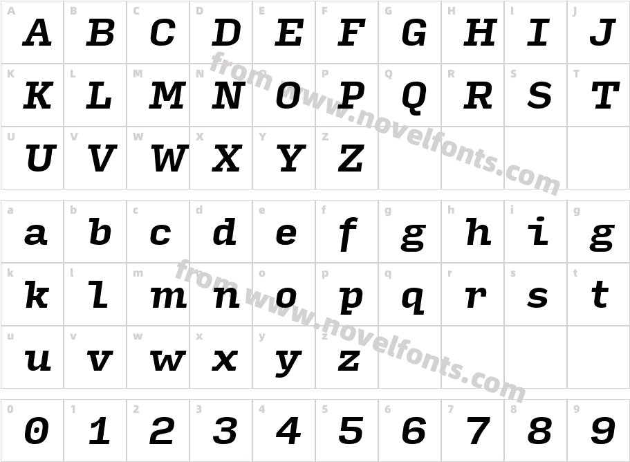 Input Serif Bold ItalicCharacter Map