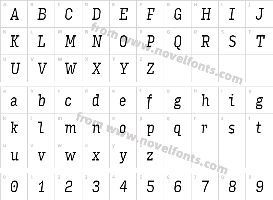 Input Serif Compressed Light ItalicCharacter Map