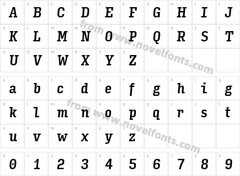Input Serif Compressed Medium ItalicCharacter Map