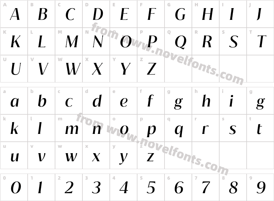 Jazmin Medium ItCharacter Map