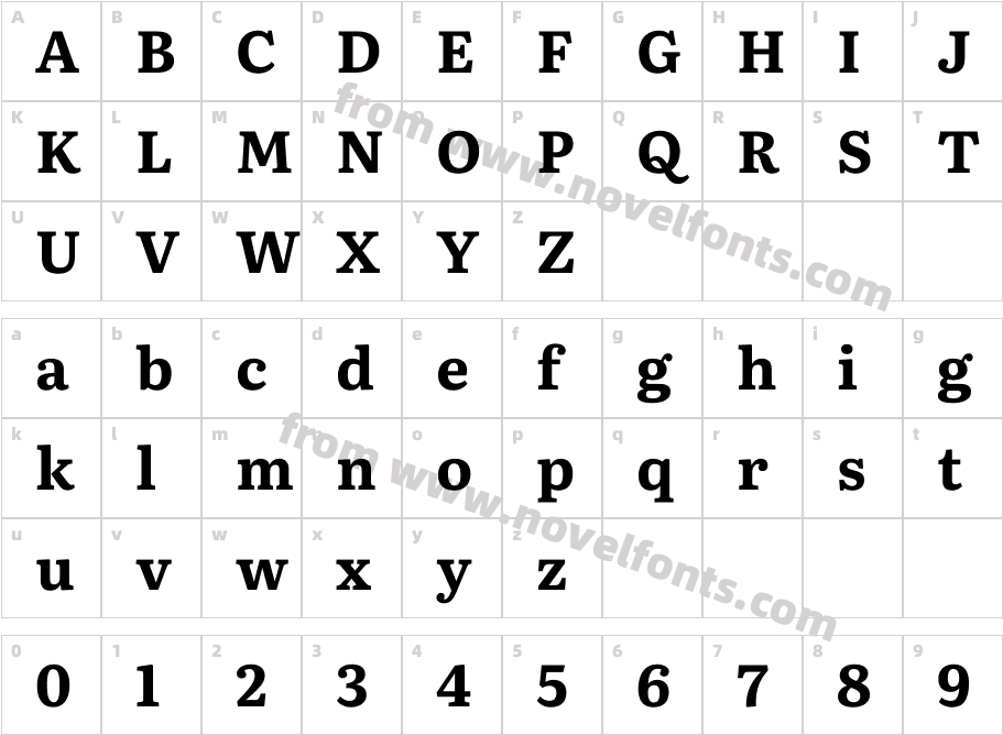 Literata 18pt Bold(1)Character Map