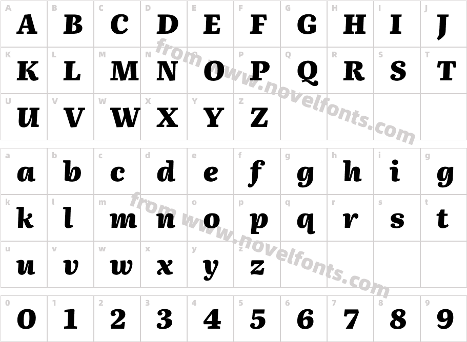 Literata 24pt Black Italic(1)Character Map