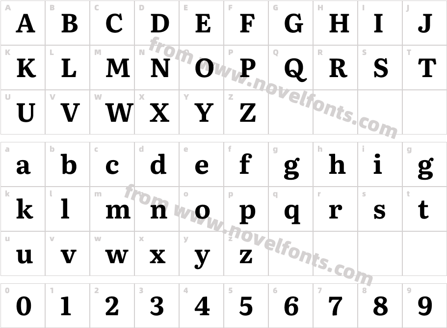 Literata 24pt Bold(1)Character Map