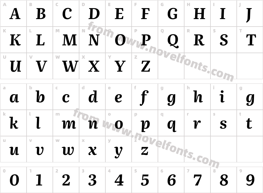 Literata 36pt Bold Italic(1)Character Map