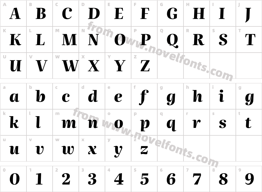 Literata 60pt Extra Bold Italic(1)Character Map