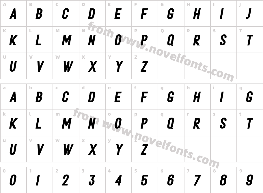 METAFORA Black Sem Exp ObliqCharacter Map