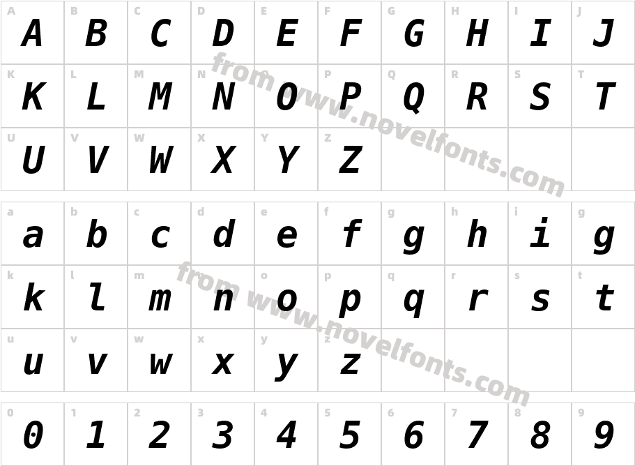 Meslo LG L DZ Bold ItalicCharacter Map