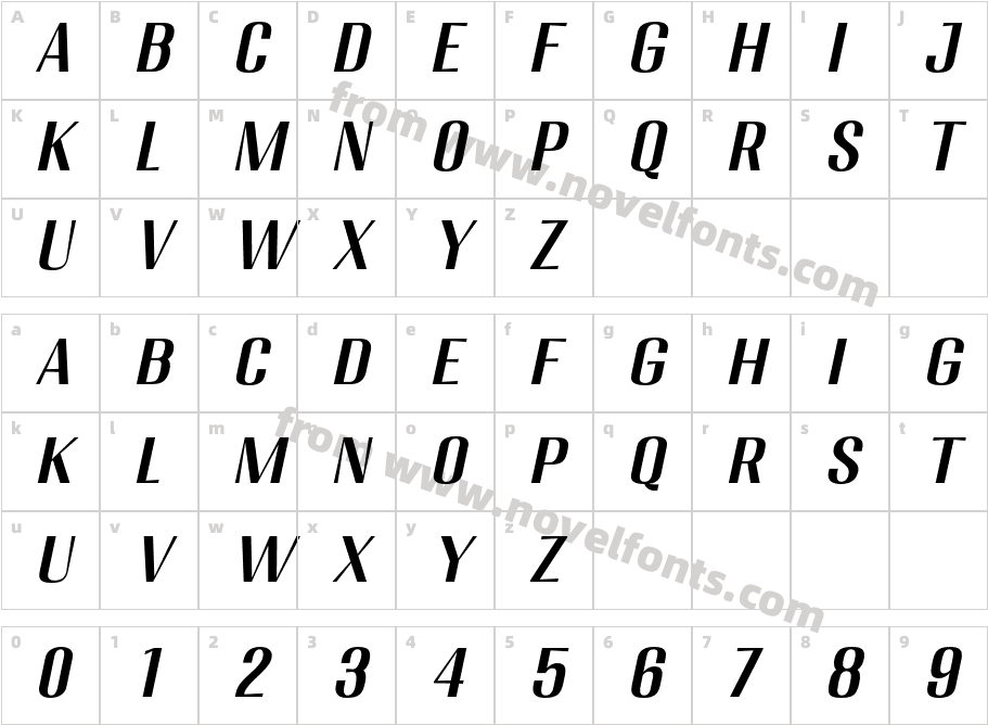 Migha Med SemExp SlantCharacter Map