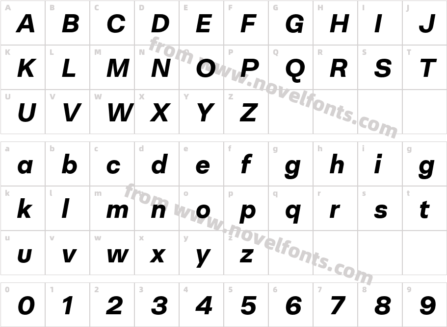Neogrotesk Ess Alt Black ItCharacter Map