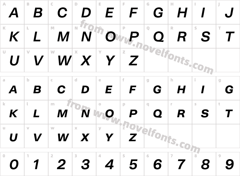 NeogroteskSC Bold ItCharacter Map