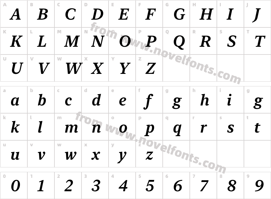 New York Small Semibold ItalicCharacter Map