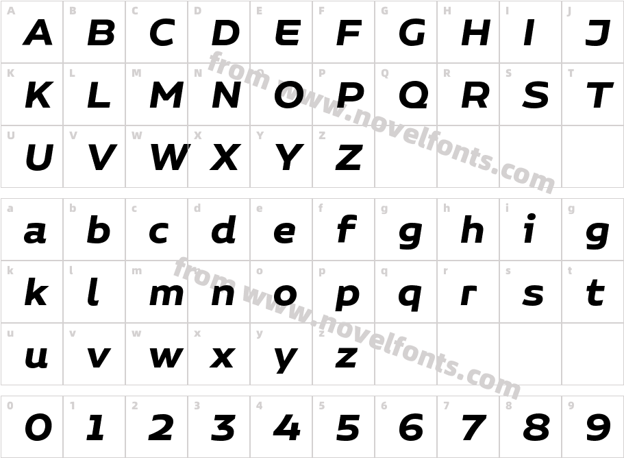 Niemeyer W05 Bold ItCharacter Map