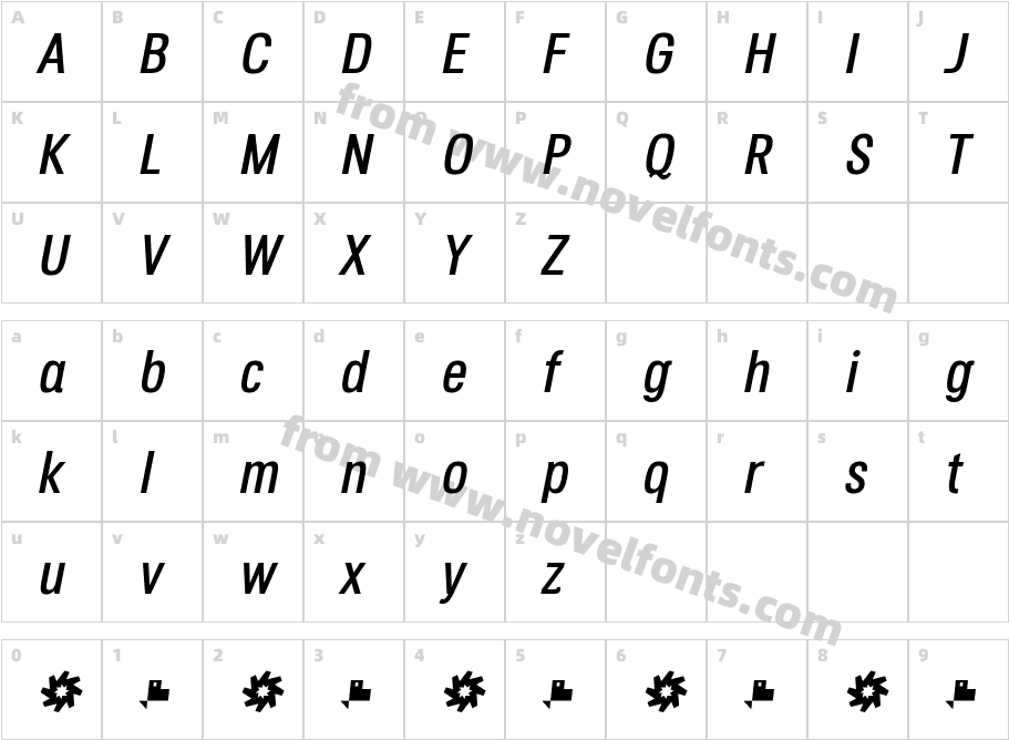 Octagen Roman Roman ItalicCharacter Map