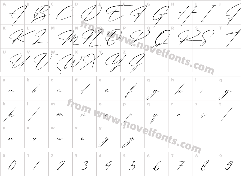 Patricia Signature ItalicCharacter Map